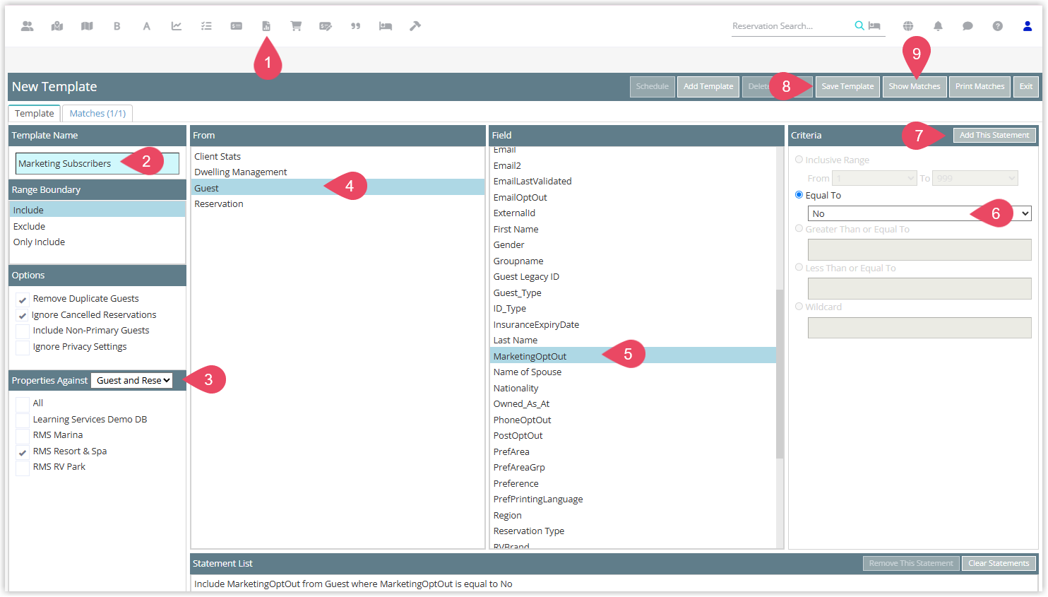 Report Writer search template screen with fields configured and a statement list.