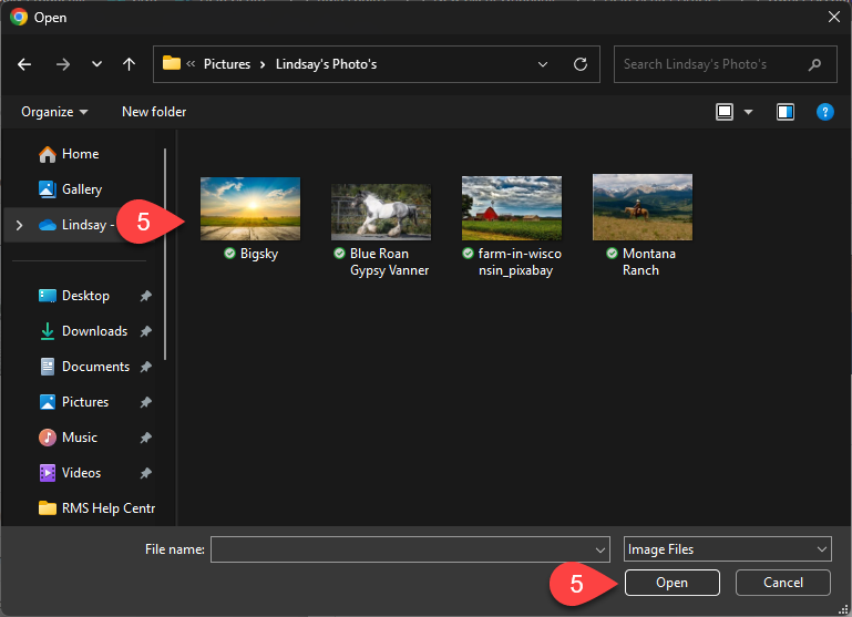 Computer file browser window opened from RMS, showing image files in a folder with one or more images highlighted and the Open button selected to upload them.