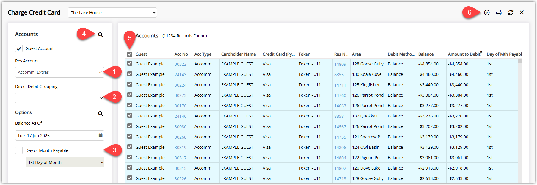 RMS Direct Payments – Charge Credit Card screen showing filters for Account Types, Direct Debit Grouping, Balance As Of Date and Day of Month Payable, with a results table listing guest accounts that have debit balances and valid CC Tokens. Checkboxes are ticked for selected guests, and the Process icon is highlighted to bulk charge their credit cards via the connected payment gateway.