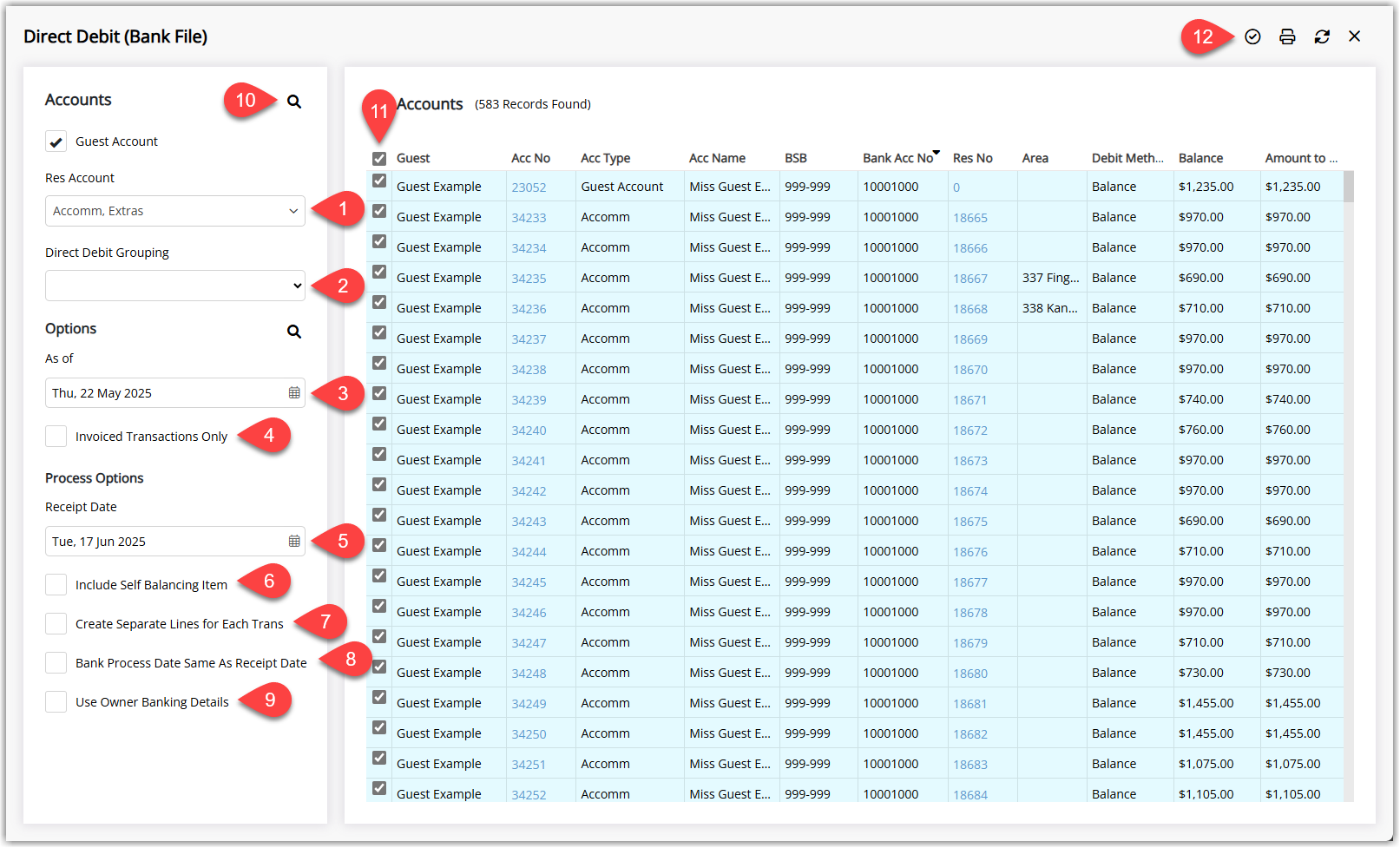 Direct Debit (Bank File) utility in RMS showing a list of accounts with checkboxes for each guest, columns such as Account Name, Amount and Bank Details, plus toolbar buttons including Search and Process to create Direct Credit Receipts and generate the EFT bank file.