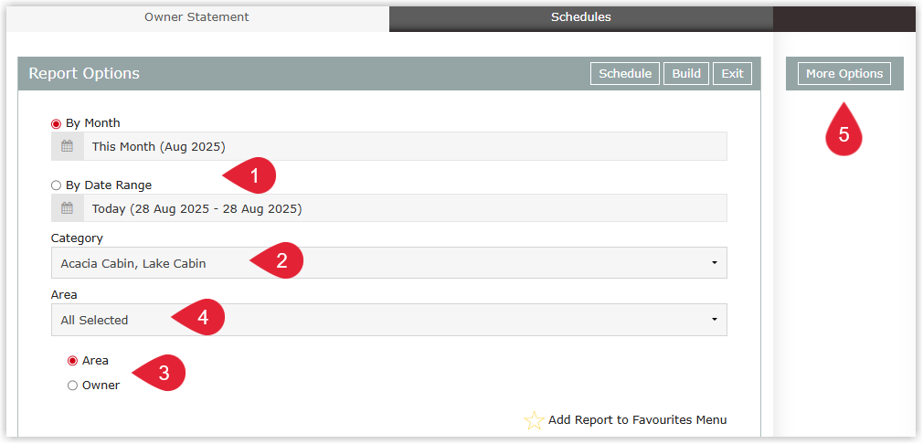 Screenshot of the Owner Statement report criteria screen in RMS showing options to select Month or custom Date Range, Category, Filtering Option (by Area or Owner), Owner/Area selectors and a More Options button to reveal additional filters before building the report.