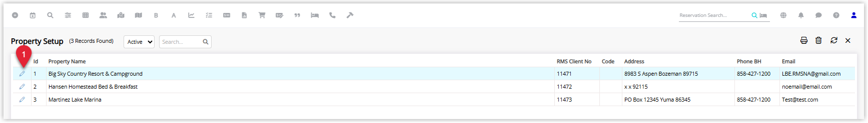 Screenshot of the Property Information list in RMS showing multiple properties with the Owner Record property highlighted and the Edit button selected to update its details.