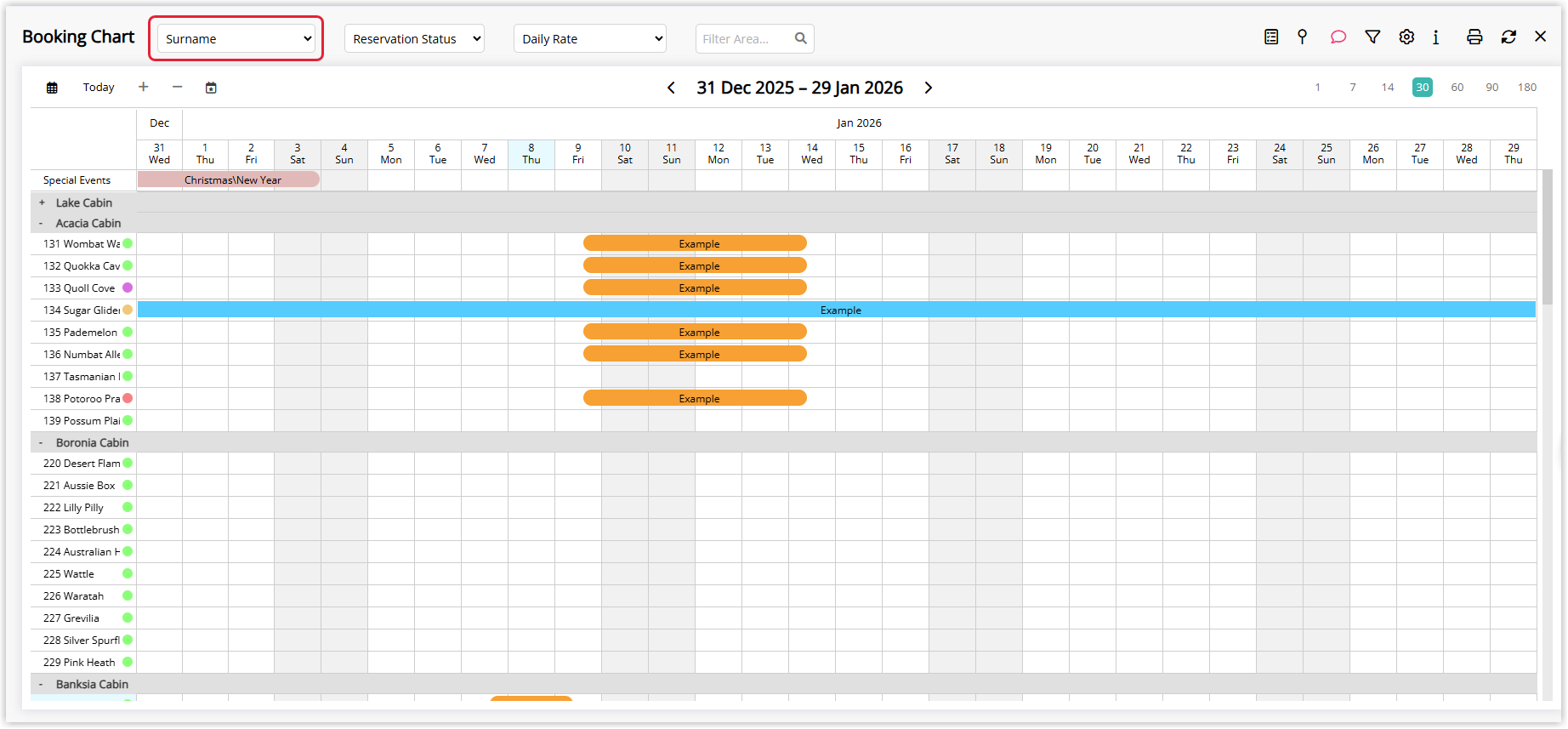 Booking Chart showing reservation blocks with guest surnames displayed, demonstrating Text View set to Surname.