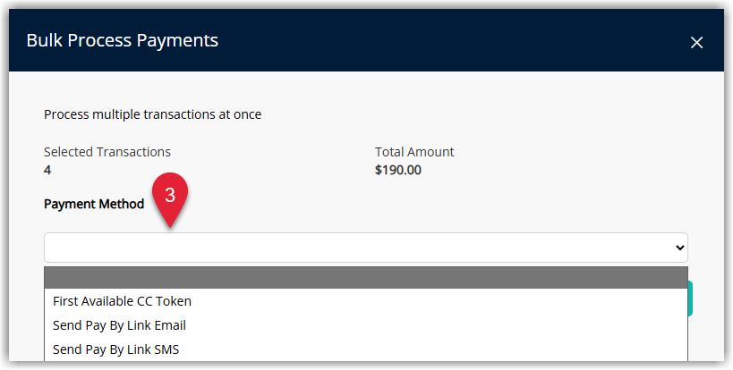 Bulk Process Payments Options.png