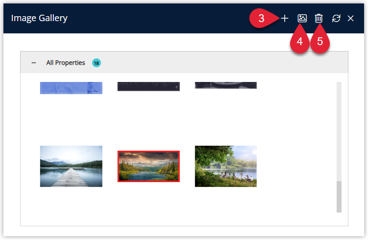 Annotated screenshot of the Image Gallery in RMS highlighting the Add, Insert and Delete icons