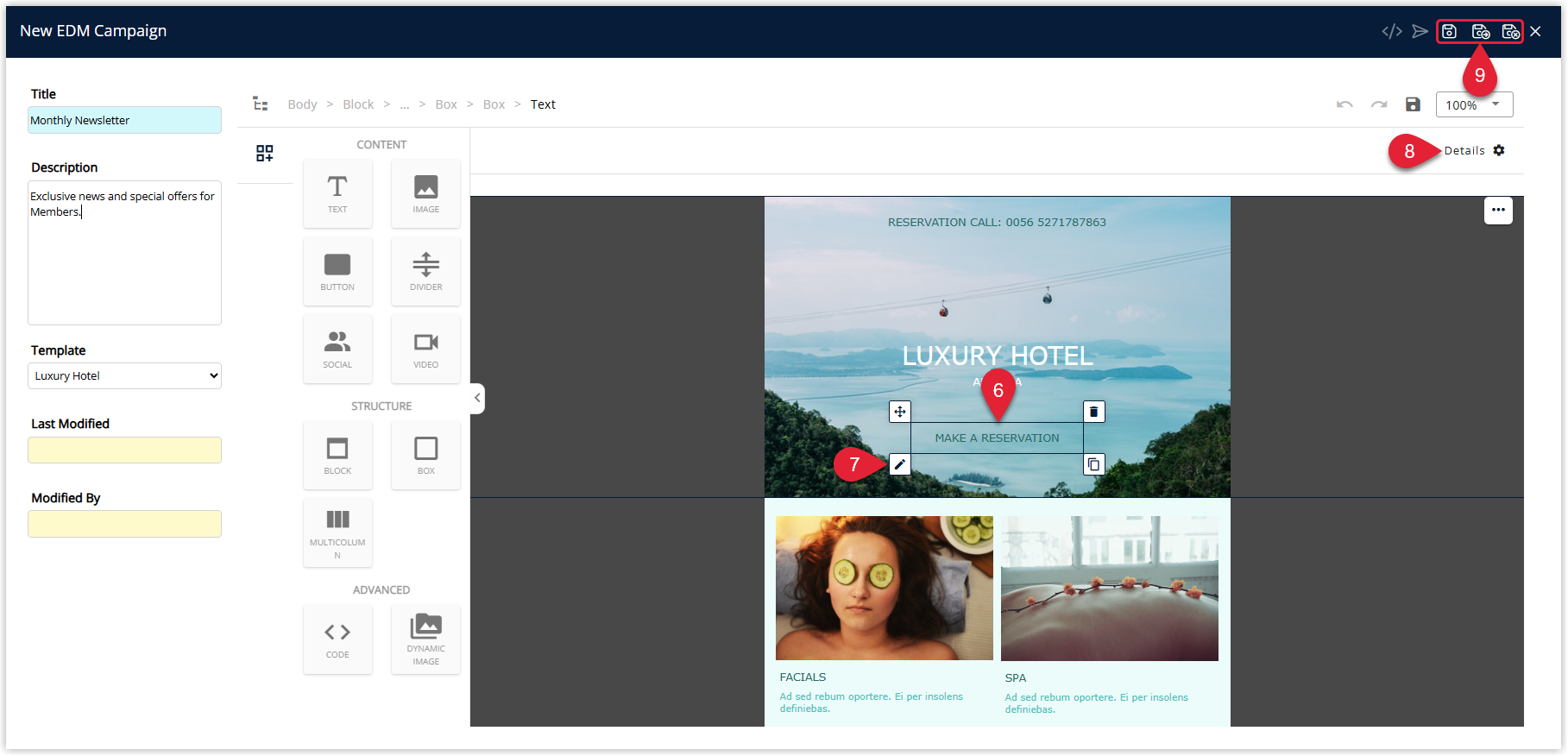 Annotated screenshot of the EDM campaign editor in RMS showing the Luxury Hotel template with the element edit, Details and Save controls highlighted