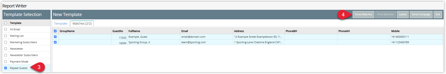 Annotated screenshot of the Report Writer Matches tab in RMS showing the matched recipients and the Send Campaign action