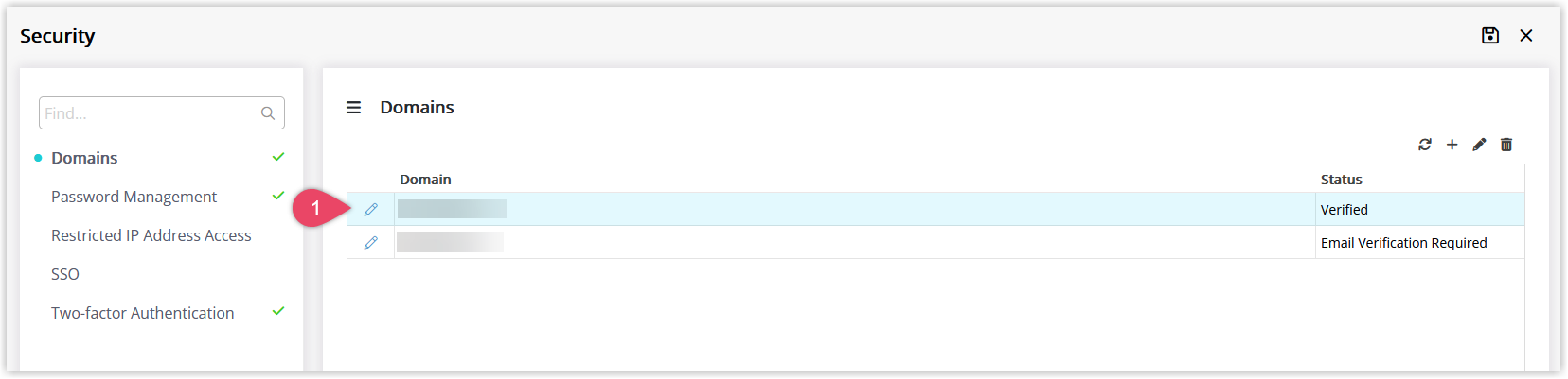 Screenshot of the Domains tab in RMS with a specific domain row highlighted and the Edit icon selected to view its verification details and DNS values..png
